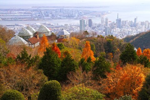 ​布引ハーブ園。 所在地は兵庫県神戸市。