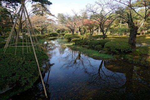 兼六園。 所在地は石川県金沢市。
