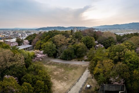 140412-1651 Ueno Park, Iga