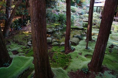 功山寺。 所在地は山口県下関市。