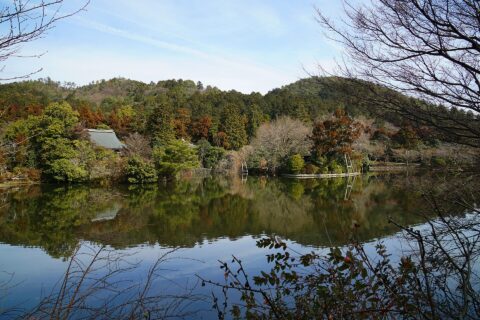 龍安寺。所在地は京都府京都市。