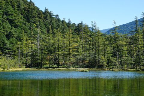 明神池。 所在地は長野県松本市の上高地。