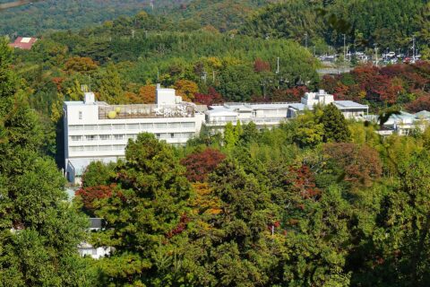 有馬温泉 太閤の湯。所在地は兵庫県神戸市。