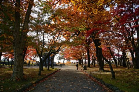 盛岡城。所在地は岩手県盛岡市。