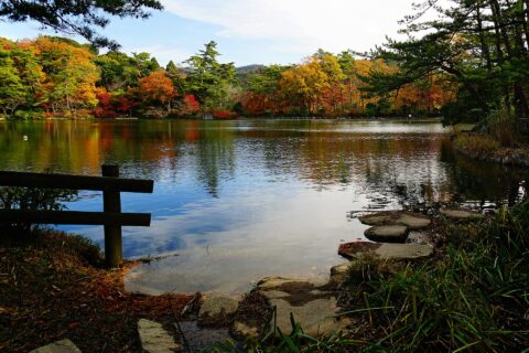 再度公園。所在地は兵庫県神戸市。