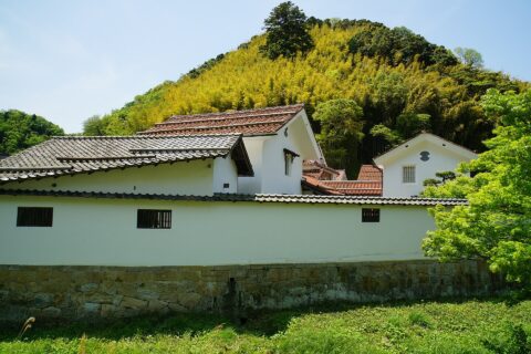 これは、原画像（加工無し、および再圧縮無し）です。
