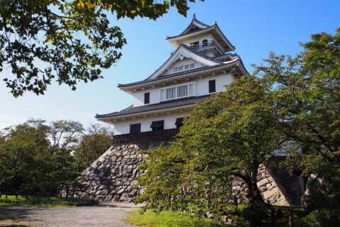 これは、原画像（加工無し、および再圧縮無し）です。
