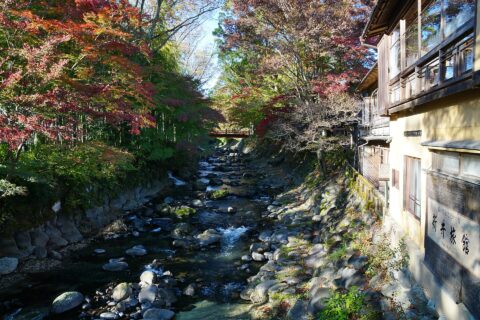 これは、原画像（加工無し、および再圧縮無し）です。