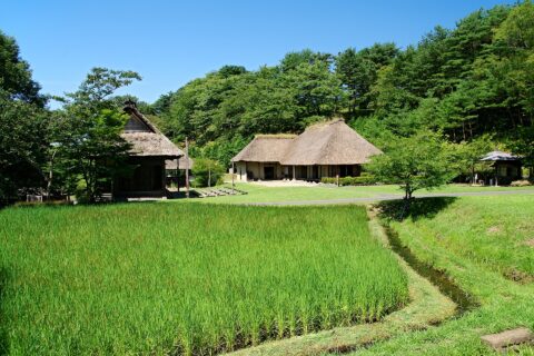 みちのく民俗村にて。 所在地は岩手県北上市。