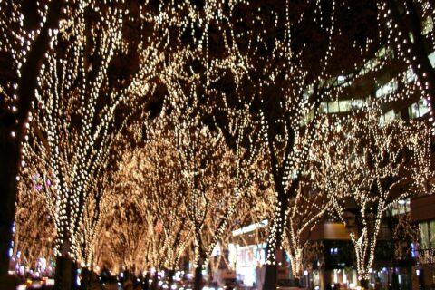 Photograph of Sendai Pageant of Starlight (ja:SENDAI光のページェント)