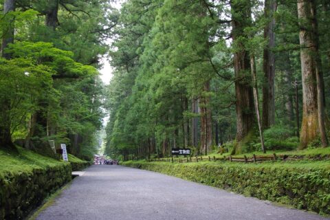 The park in Nikko, Japan