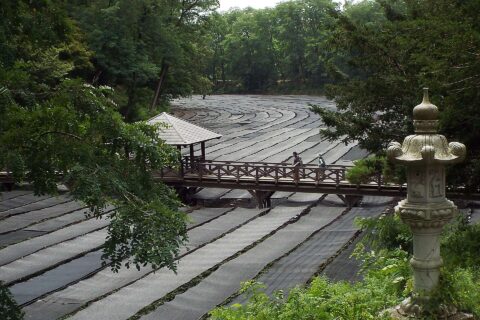 2016-07-03 Daio Wasabi Farm 大王わさび農園