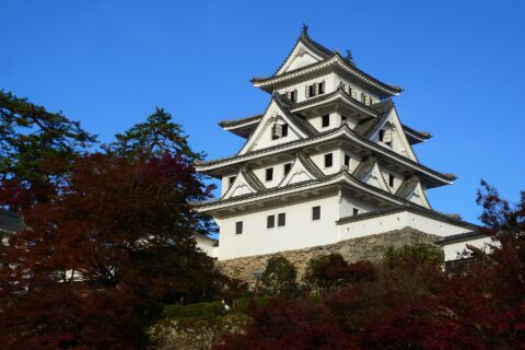 2017年秋季に撮影。