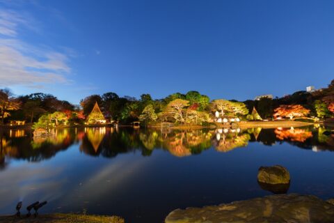 六義園（東京都文京区）