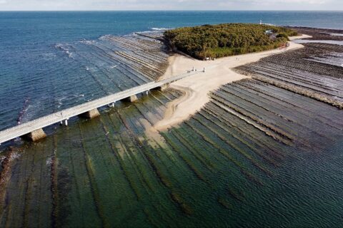 2021-01-07 Aoshima Island (Miyazaki)Aerial photography 青島 (宮崎県)空撮 DJI Mini2