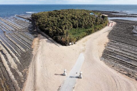 2021-01-07 Aoshima Island (Miyazaki)Aerial photography 青島 (宮崎県)空撮