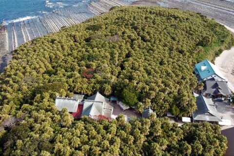 2021-01-07 Aoshima Island (Miyazaki)Aerial photography 青島 (宮崎県)空撮