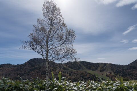 Jōshin'etsu-kōgen National Park
