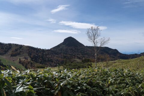 Jōshin'etsu-kōgen National Park