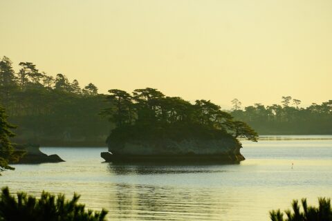 松島の亀島。 所在地は宮城県松島町。