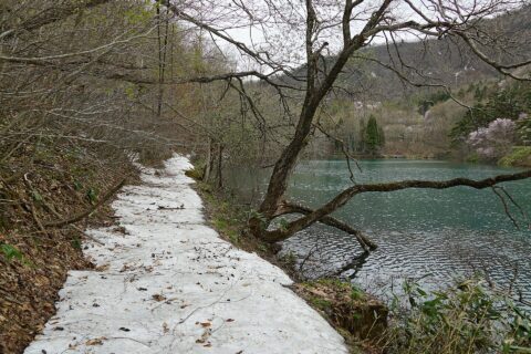 盃湖にて。 所在地は山形県山形市蔵王温泉。