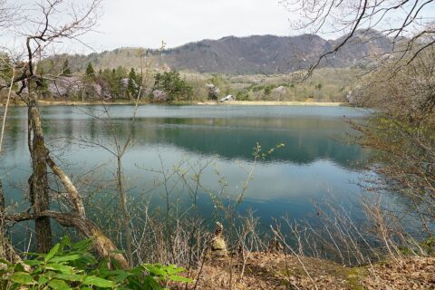 鴫の谷地沼にて。 所在地は山形県山形市蔵王温泉。