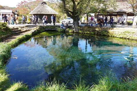 忍野八海 湧池。所在地は山梨県忍野村。