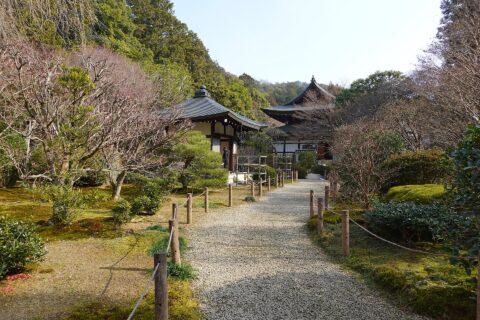 龍安寺。所在地は京都府京都市。