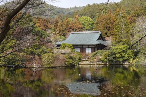 龍安寺。所在地は京都府京都市。