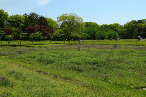 後楽園。 所在地は岡山県岡山市。
