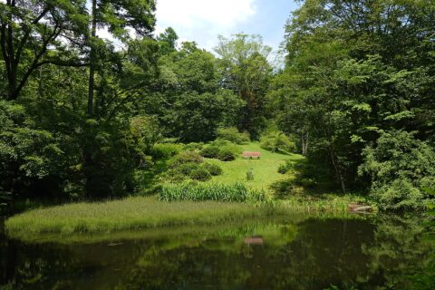日光植物園。所在地は栃木県日光市。