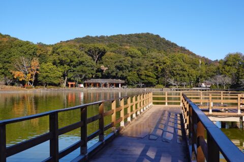 橿原神宮。所在地は奈良県橿原市。
