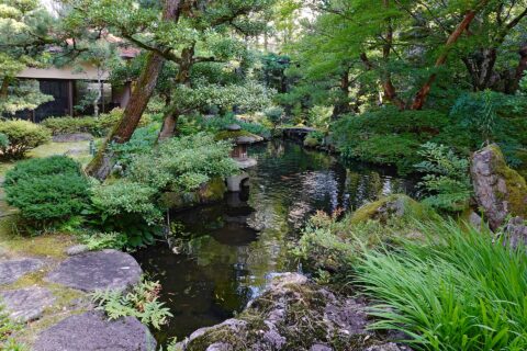法師。 所在地は石川県小松市。