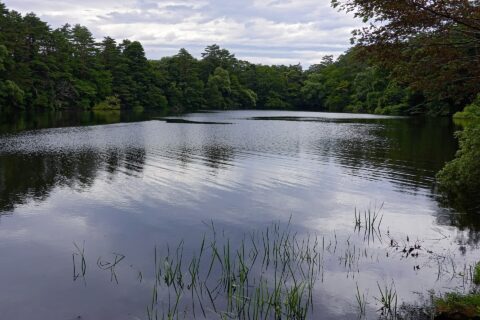 五色沼の柳沼。 所在地は福島県北塩原村。