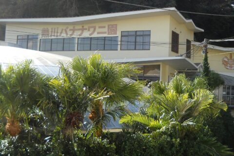 熱川バナナワニ園（静岡県東伊豆町）