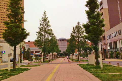 Act City