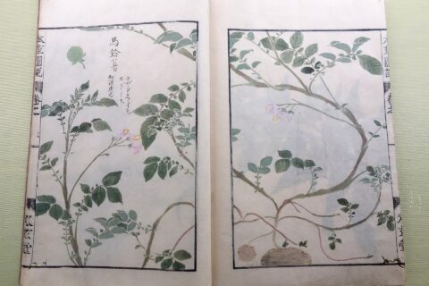 Exhibit in the Tokyo National Museum, Tokyo, Japan. This artwork is old enough so that it is in the public domain.