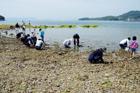 The Angel_Road of Shōdo Island, Tonosho, Kagawa prefecture, Japan