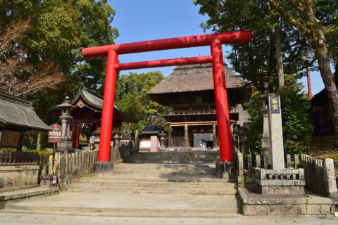​青井阿蘇神社 鳥居