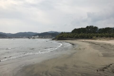 弥生橋より望む宮崎県立青島亜熱帯植物園方面