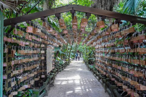 宮崎県宮崎市青島にある青島神社。トンネル状に作られた絵馬掛けの祈りの古道。