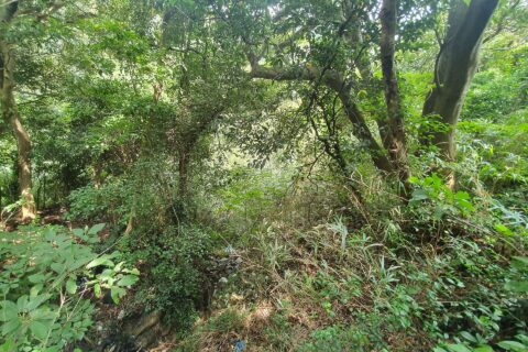 August 2022 in Shimoda and around