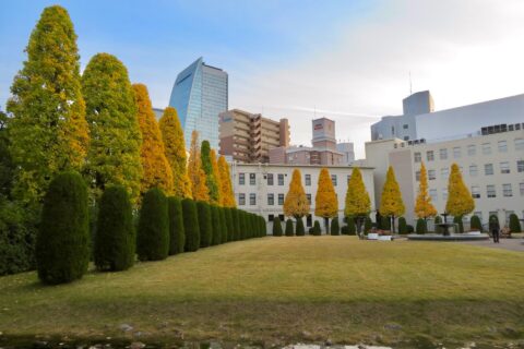 ​ノリタケの森園内の紅葉した木々。