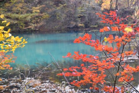 五色沼の秋の色