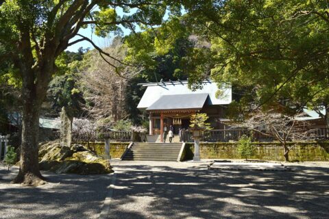 ​安房神社 境内