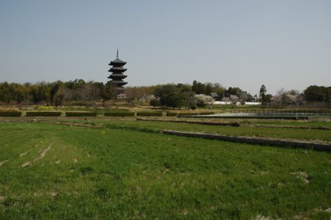 over view of Bitchu Kokubunji