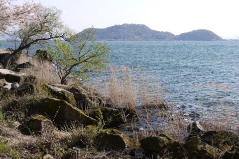 琵琶湖中部湖岸（琵琶湖国定公園第2種特別地域）, 滋賀県近江八幡市長命寺町にて。