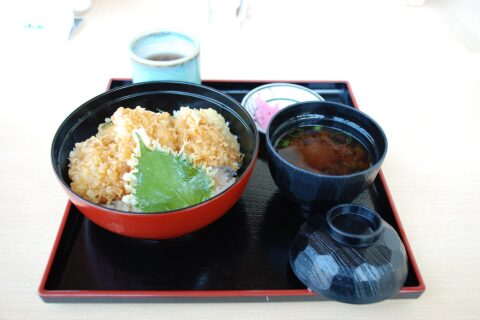 琵琶湖博物館のバス天丼