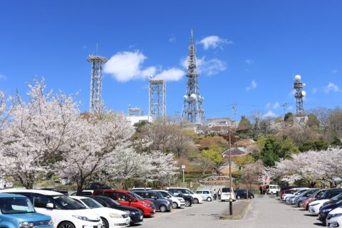 眉山公園、桜の季節