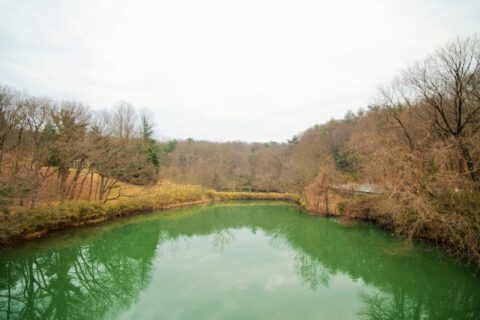冬の分山沼